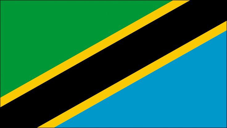 Gender-Based Violence in Tanzania