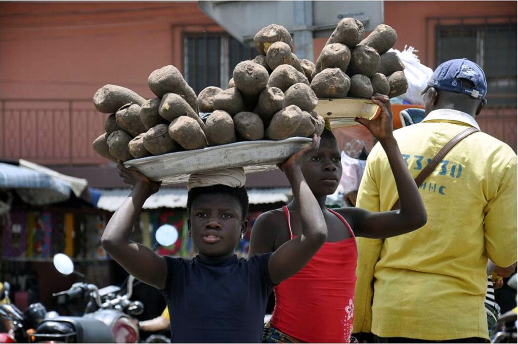 Child Labour in Zambia