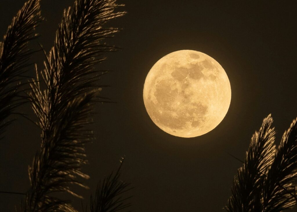 The Stories We Told Under the Moon